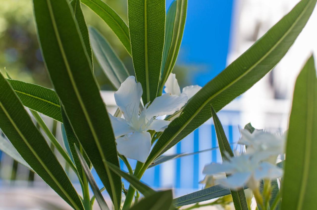 Amila Apartment Crikvenica Bagian luar foto